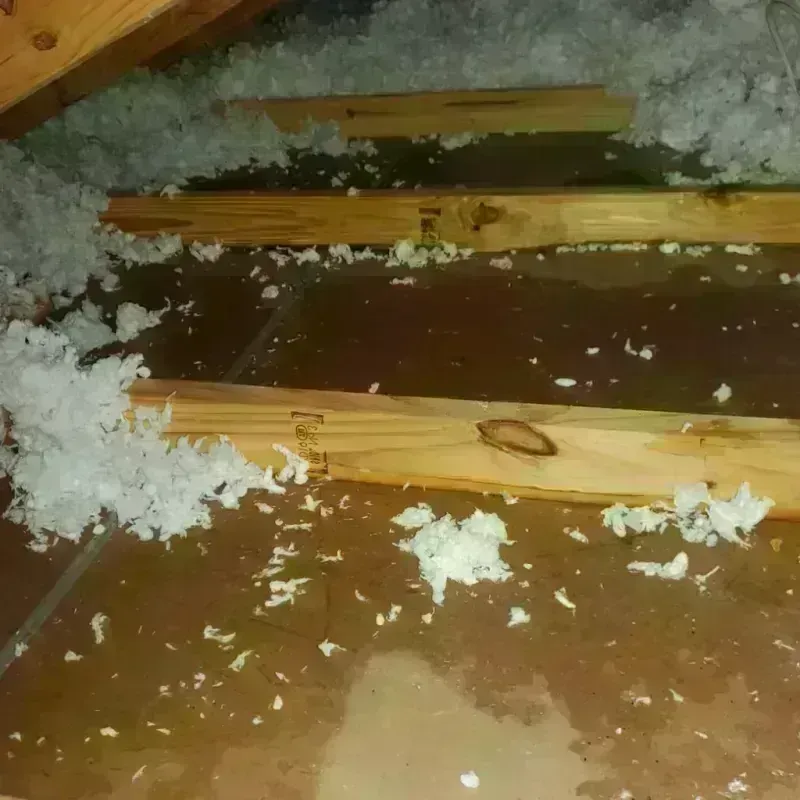 Attic Water Damage in Brownfield, ME